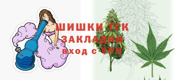 эйфоретик Каменка