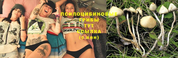 мдма Каменногорск