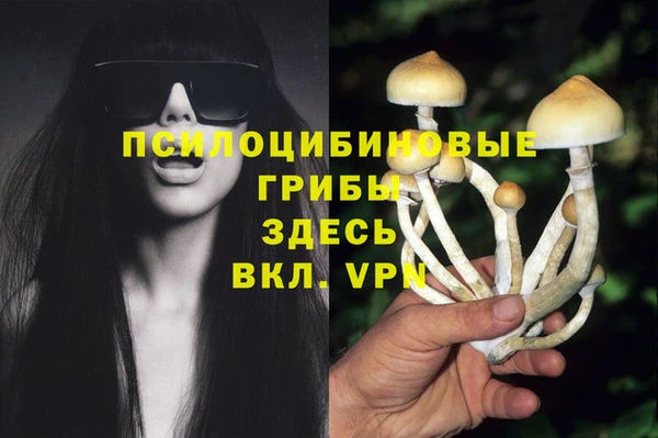 эйфоретик Каменка