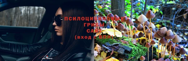 мдма Каменногорск