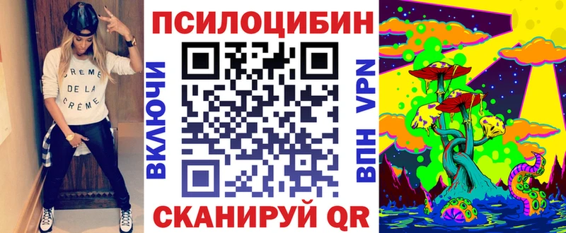 Купить где  Иркутск  Псилоцибиновые грибы мицелий 